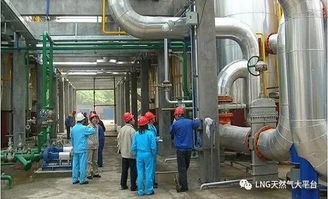 山东lng新政 淄博市人民政府办公厅关于加强工业企业厂内自备燃气供气站安全管理工作的意见